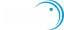MDSI Logo